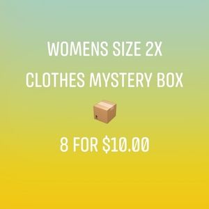 COPY - COPY - Womens 2x clothes mystery box 📦